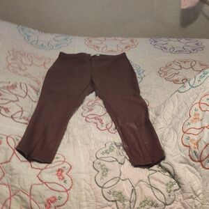 Sofia by Sofia Vergara Brown Leggings Soft Comfortable Fit